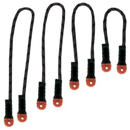 Lanyard I