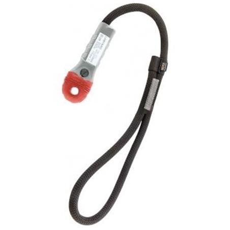 Wild ride lanyard