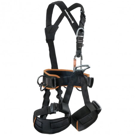Working harness Skill Econ