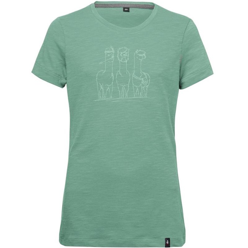 Kid's t-shirt Gandia Alpaca Gang