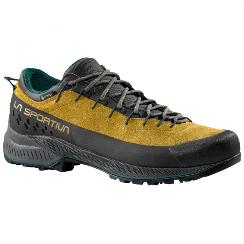 Men's trekking shoes TX4 Evo GTX