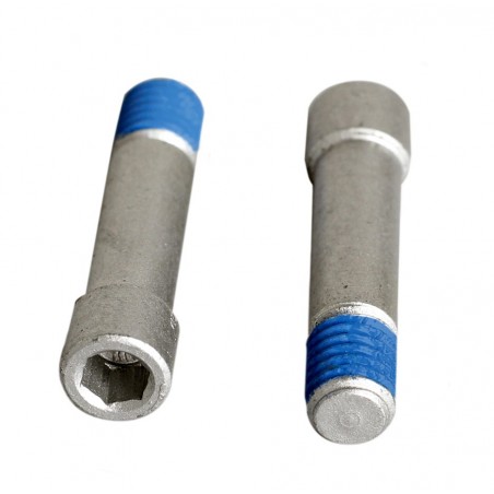 Screw for RINGO 2 pcs