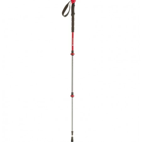 Hiking poles Batura