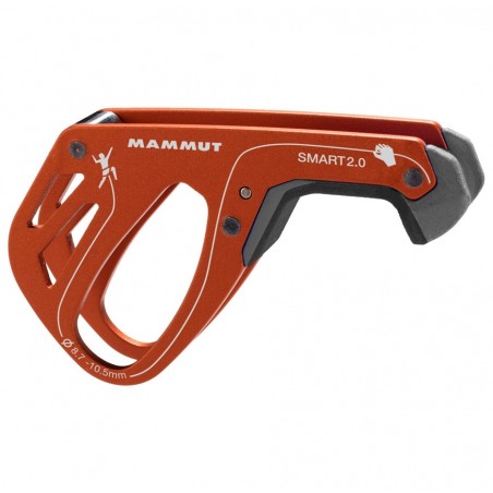 Jistítko Smart 2.0