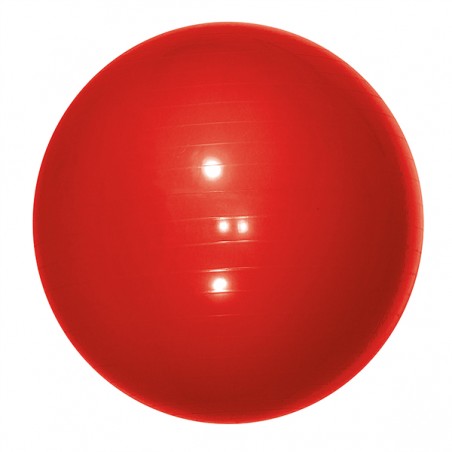 Pelota de Gimnasia 65 cm