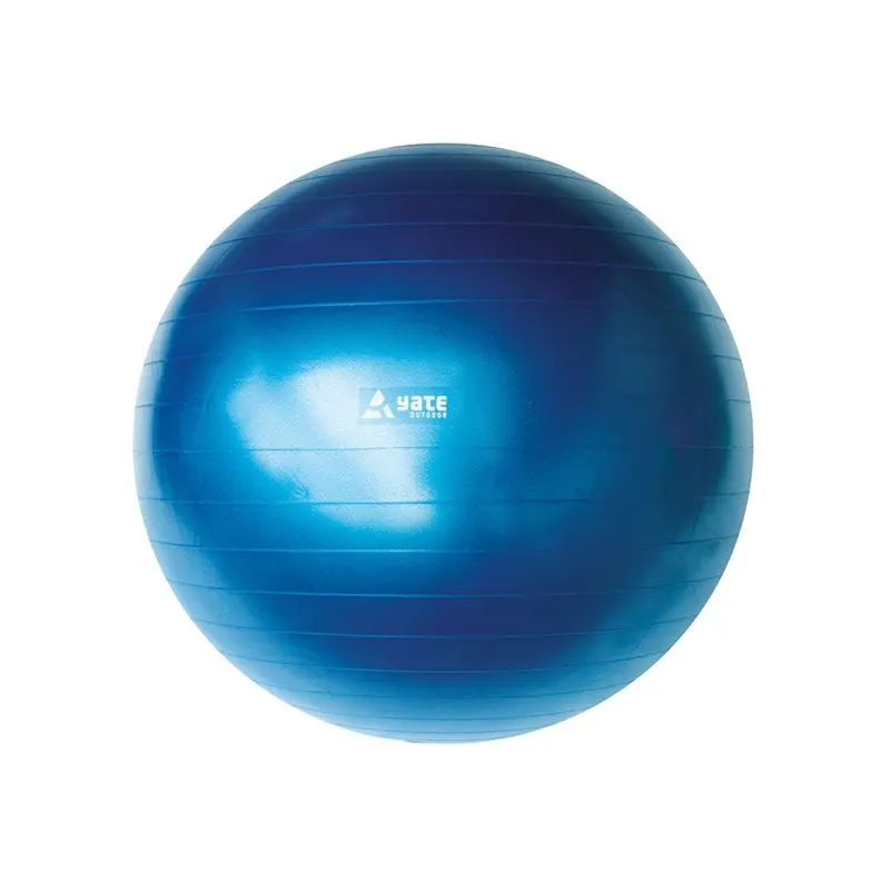 Gymball 55 cm