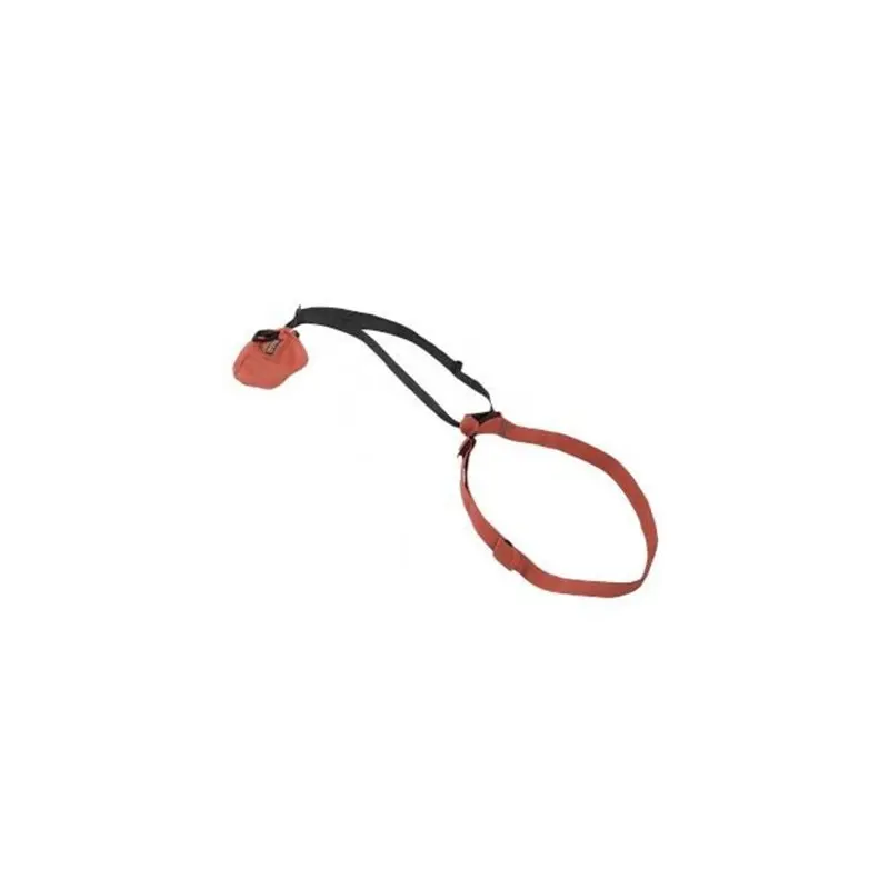 Rescue loop Omega