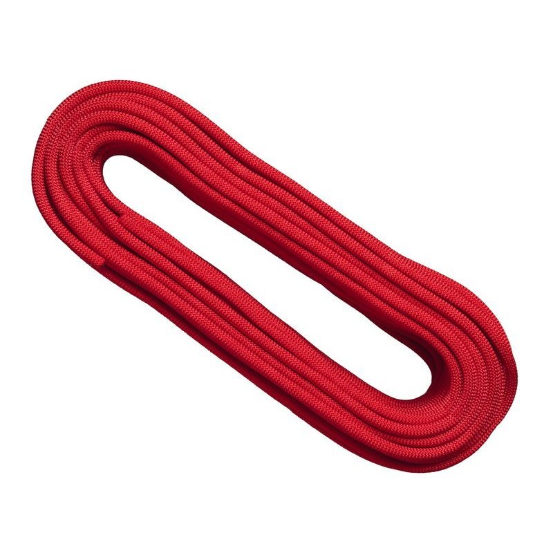 Dynamic rope Icon 9.3 DRY