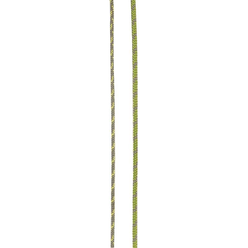 Cord Hammer