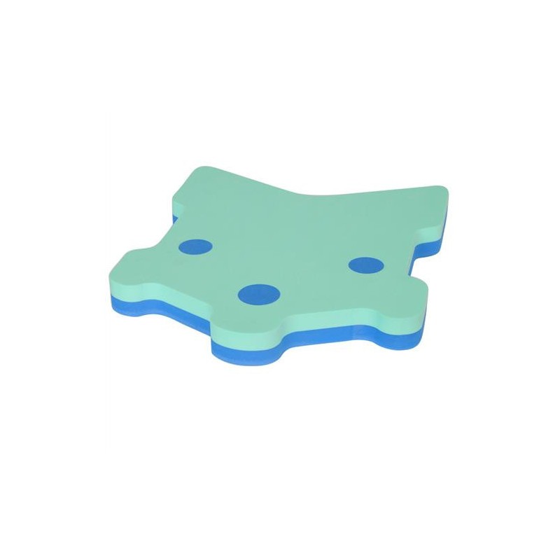 Swimming board Tech 2