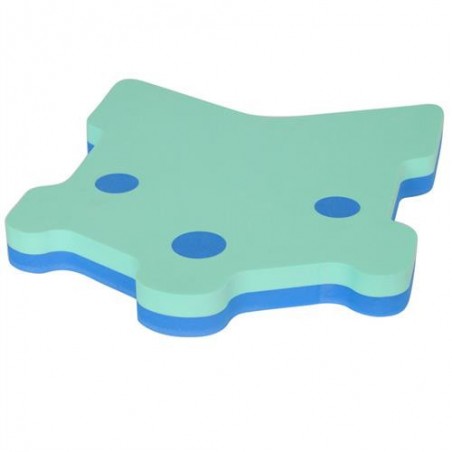 Swimming board Tech 2