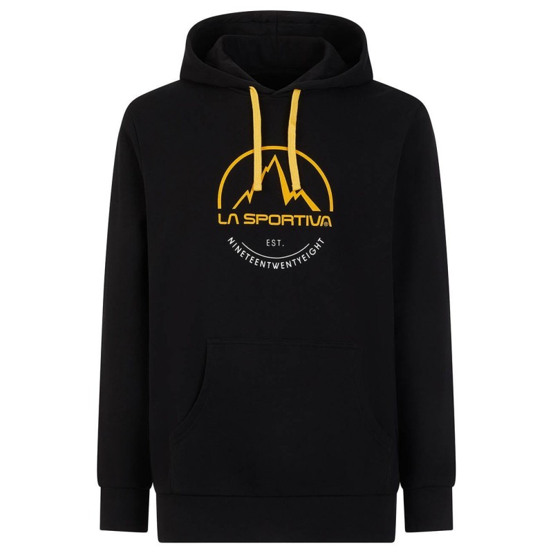 Pánska mikina Logo Hoody