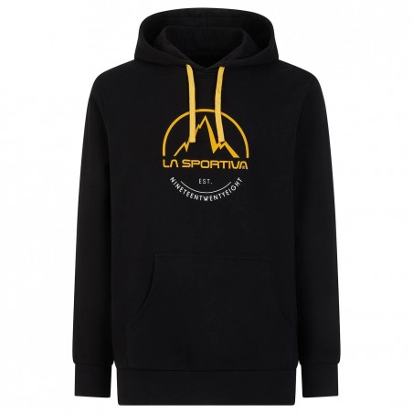 Pánská mikina Logo Hoody